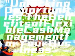 "Unlocking Opportunities: The Benefits of Flexible Cash Management for Your Business"